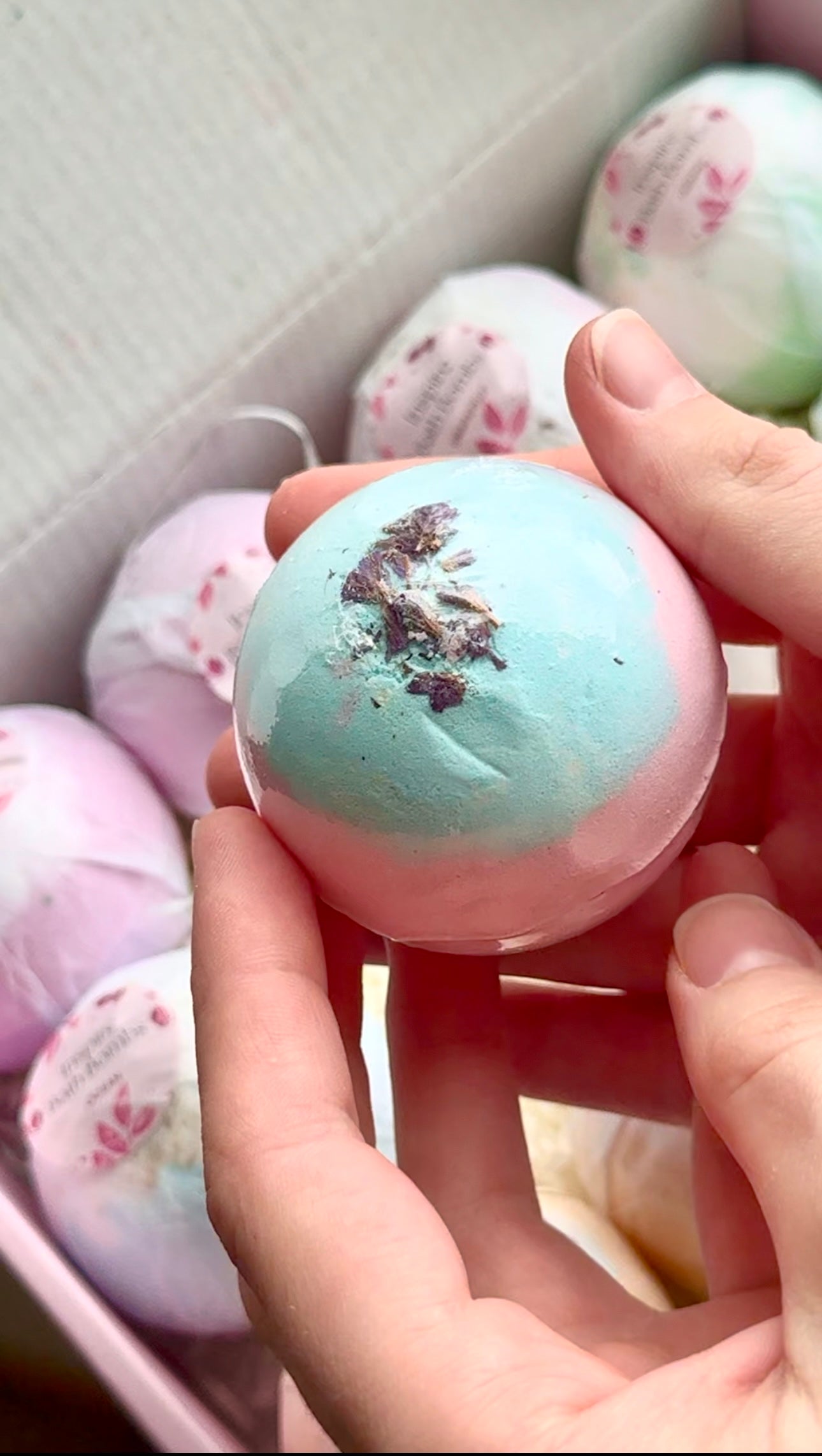 EvolutionUSA 12pc Inspire Bath Bombs for Women & Girls