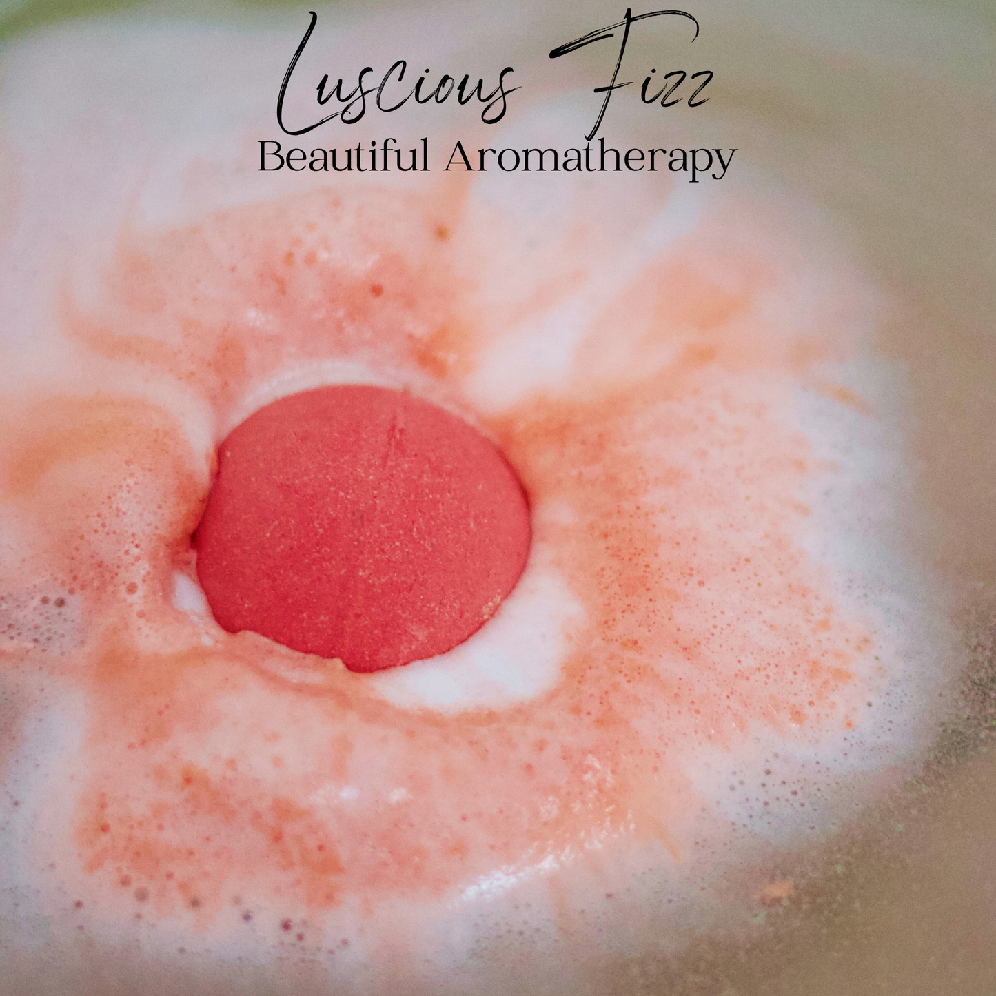 EvolutionUSA Refresh Bath Bombs for Women – 9 Lush Bath Bombs Mini Sized, Lush Womens Gift for Mother’s Day, Easter, Valentines, Birthday or Self Care, Organic Bathbombs Kids & Women, Bath Fun